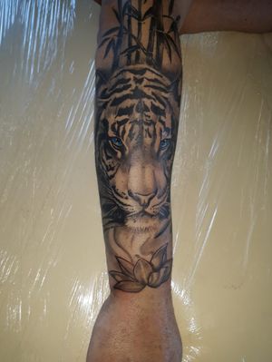 Tiger by Manuel Cerdan