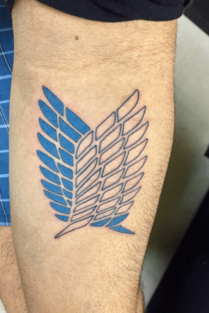 Wings of freedom from the anime show Attack on titan 