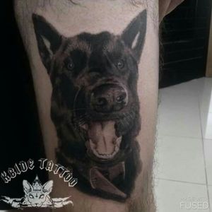 Kbide Tattoo Whats:48-99984-3904 Instagram:@kbidetattoo #kbidetattoo #cachorro #dog #realismo #realism #realistic #portrait #electricinkbrasil #electricink #tatuadoresbrasileiros #floripa #florianopolis 