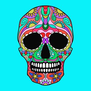 Candy skull I coloured in.