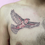 Trabalho executado por mim, referencia do cliente. #passaro #homem #liberdade #mudança #tatuagemsp #tatuagemcolorida #tatuagempretoevermelha #tatuagembrasil #tatuagemdelicada 