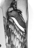 Condor de los andes #kpo #kpobta #tattoo #colombia #luxe #tattoocolombia #tattooer