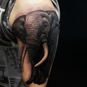 Realistic black and grey elephant tattoo!