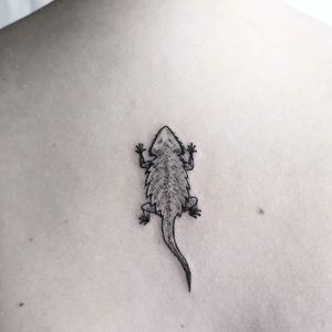 Small friendo - lizard More works on my instagram: @nikita.tattoo #tattooartist #tattooart #blackworktattoo #blackwork #lineworktattoo #LineworkTattoos #linework #thinlinetattoo #fineline #finelinetattoo #lizardtattoos #lizard #lizardtattoo #lithuania 