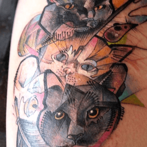 Una mezcla que hice de los #gatos de mi cliente , hecho en bogota. #kpo #kpobta #tattoo #colombia #luxe #tattoocolombia #tattooer