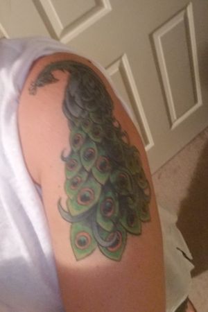 Peacock as a cover up for an old, shitty tattoo. My favorite tattoo, as well as the easiest session I've ever had. 