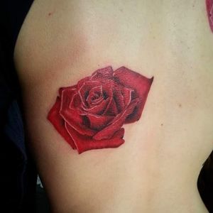 By Alessandra Gaibotti Whatsapp 3477804765 E-mail ac_redhouse@yahoo.it #rosestattoo #flowertattoo #realistic #realismotattoo #tattoodo 