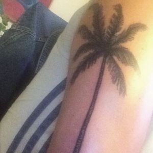Palm tattoo #blackworktattoo #palmtree #blackwork #treetattoo #carpetattoo 