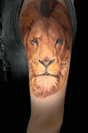 By nicole realistic lion 