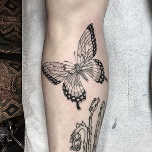 Tattoo by Anka #Anka #butterflytattoo #butterfly #insect #nature #wings #fly #pattern #fineline #linework #dotwork #illustrative #blackwork
