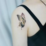 Tattoo by Tattooist Banul #TattooistBanul #Banul #butterflytattoo #butterfly #insect #nature #wings #fly #pattern #illustrative #linework #watercolor #color #realism #realistic