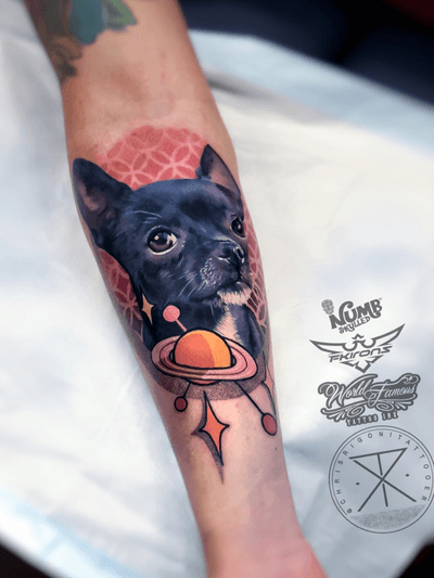 Was fortunate to do another dog portrait today for Francisco from Colombia. Thank you ! @tattoodo Ambassador #tattoodo Tattooed using #worldfamousink @worldfamousink @_numb_skulled #_numb_skulled @fkirons Xion #fkirons #fkironsxion @bloodlinesinknorthperth #bloodlinesinknorthperth #dermalizeproofficial #stencilanchored #sabertattooequipment #chrisrigonitattooer #chrisrigoni #tattoo 