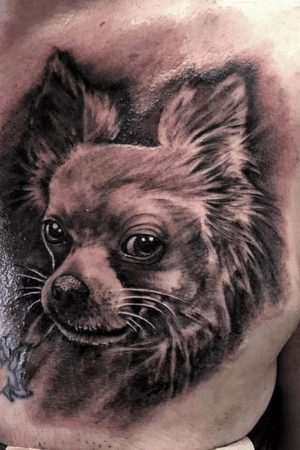 Tattoo by Terence Tait - Portrait of clients pet 