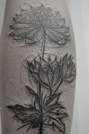 Tattoo by Foa.k Tattoo