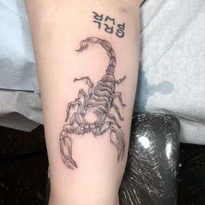 Tattoo by Anka #Anka #scorpiontattoos #scorpion #arachnid #insect #fineline #illustrative #nature
