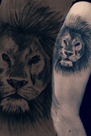 Lion cover up ! bishoptattoo #nocturnalink #bishop #chicanoart #bestbodyink #drawing #tattoostudio #realistictattoo #tattoo #tattooed #tattooink #tattooer #tattooing #tattoos #tattooart #tattooist #tattoolove #tattooshop #tattooartist #tattoolife #tattoogirl #tattoomodel #tattooflash #portraittattoo#realtattoos #tattoorealism #greyinktattooart#salvatoreorefice#tattoosocial#blackandgreytattoo @bestbodyink @realistic.ink