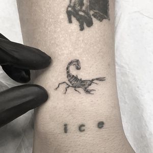 Tattoo by Mikey Brannon #MikeyBrannon #scorpiontattoos #scorpion #arachnid #insect #tiny #small #blackandgrey #nature