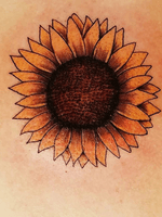 #sunflowertattoos #sunflowertattoo #girlswithtattoos #tattooedgirls 
