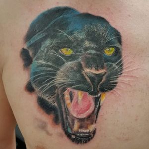 #Black #panther. Natures my thing#nature #animal #blackpanther #realistic #wild #spiritanimal #cat #kitty #meow #angry #mean #blacklinetattoo 