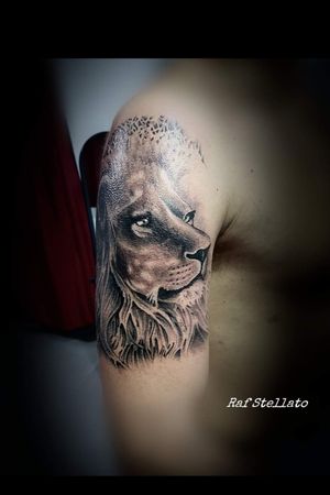 #tattooart #liontattoo #lion #arm #blackandgray #lionking #tatoooftheday #tatouage 