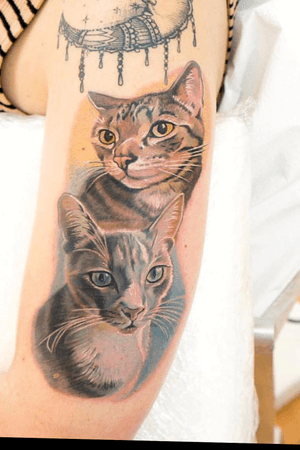 Done by Enya #gamefacetattoo2.0 #orlando #florida #cat #catportrait #cattattoo #kitty #tattooartist 