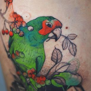 Tatuaje de Joanna Świrska alias Dzo Lama #JoannaSwirska #DzoLama # ilustrativo #naturaleza # boceto #linework #dotwork # parrot #bird #leaves # berries # berries #plants #watercolor