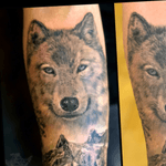 fresh and healed wolve 