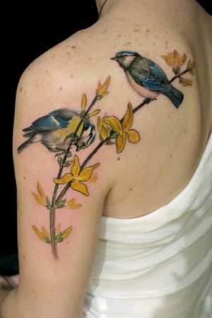 #birds #flowers #branch