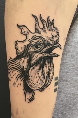 My rooster by @Z._Cuervo_Tattoo  #rooster #roostertattoo #cock #brazil #brazilianartist #braziliantattoo 