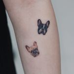 Tattoo by Saegeem #Saegeem #Seoultattoos #Seoul #KoreanArtist #color #dogs #realism #realistic #hyperrealism #petportrait #pugs #frenchbulldog #cute #animal #dog
