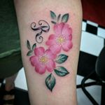 Wild roses soft pink forearm tattoo 