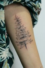 #tree #treetattoos #treetattoo #pinetree #tattooart #naturetattoo #forearmtattoo #forearmtattoos 