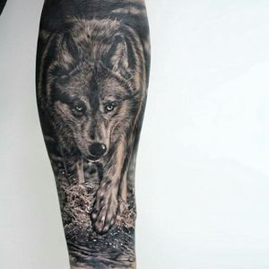 Wolf #2