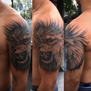 Realistic lion black and grey wirh opaque greys on asian skin. Upperarm tattoo done at Walls and Skin Amsterdam Kalkmarkt.