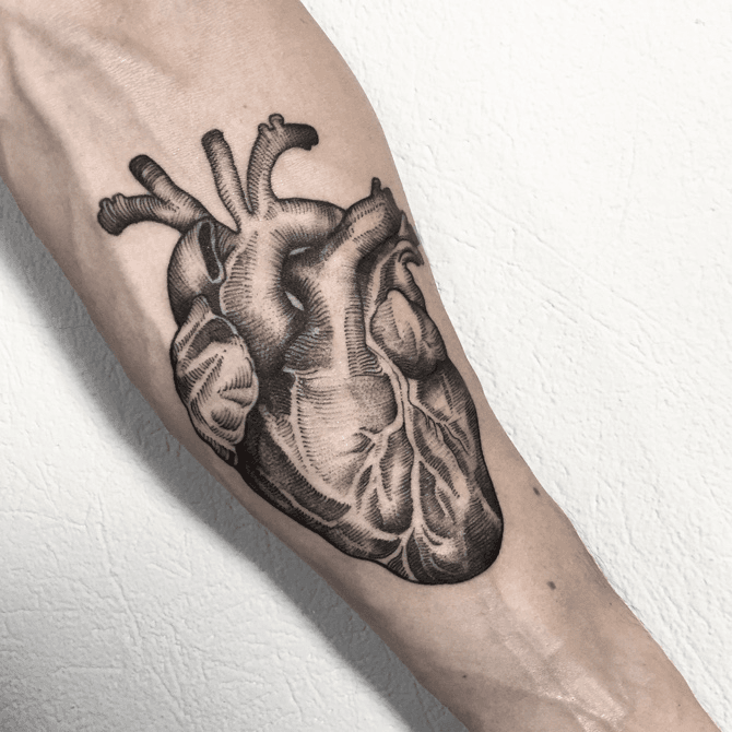 Anatomical Heart Tattoo Images  Browse 1667 Stock Photos Vectors and  Video  Adobe Stock