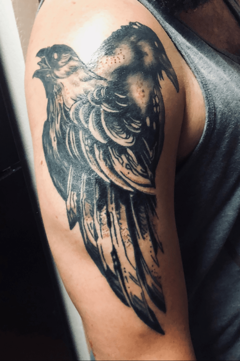 Odin Huginn and Muninn Tattoo Common raven Thor Thor bald Eagle  galliformes png  PNGEgg