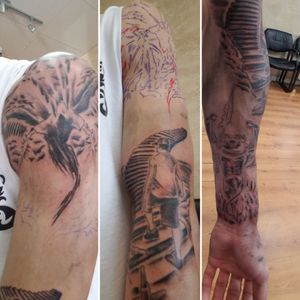 First session of my sleeve. Left arm