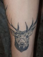#deer #blackwhite #details 