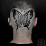 Tattoo by Abby Drielsma #AbbyDrielsma #besttattoos #butterfly #illustrative #blackwork #linework #pattern #wings #fly #insect #freedom #headtattoo #scalp