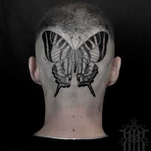 Tattoo by Abby Drielsma #AbbyDrielsma #besttattoos #butterfly #illustrative #blackwork #linework #pattern #wings #fly #insect #freedom #headtattoo #scalp