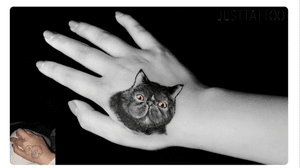 Tattoo by Sushi tattooist. Guangzhou Tattoo - #Justtattoo #GuangzhouTattoo #OriginalTattoo #TattooManuscript #TattooDesign #TattooFemaleTattooist #cat #cattattoo #cattattoos #blackandwhite #coveruptattoo #coverup #cover #handtattoo 