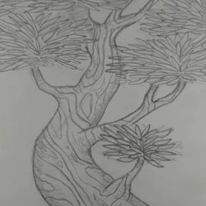 Tree sketch#trees #nature 