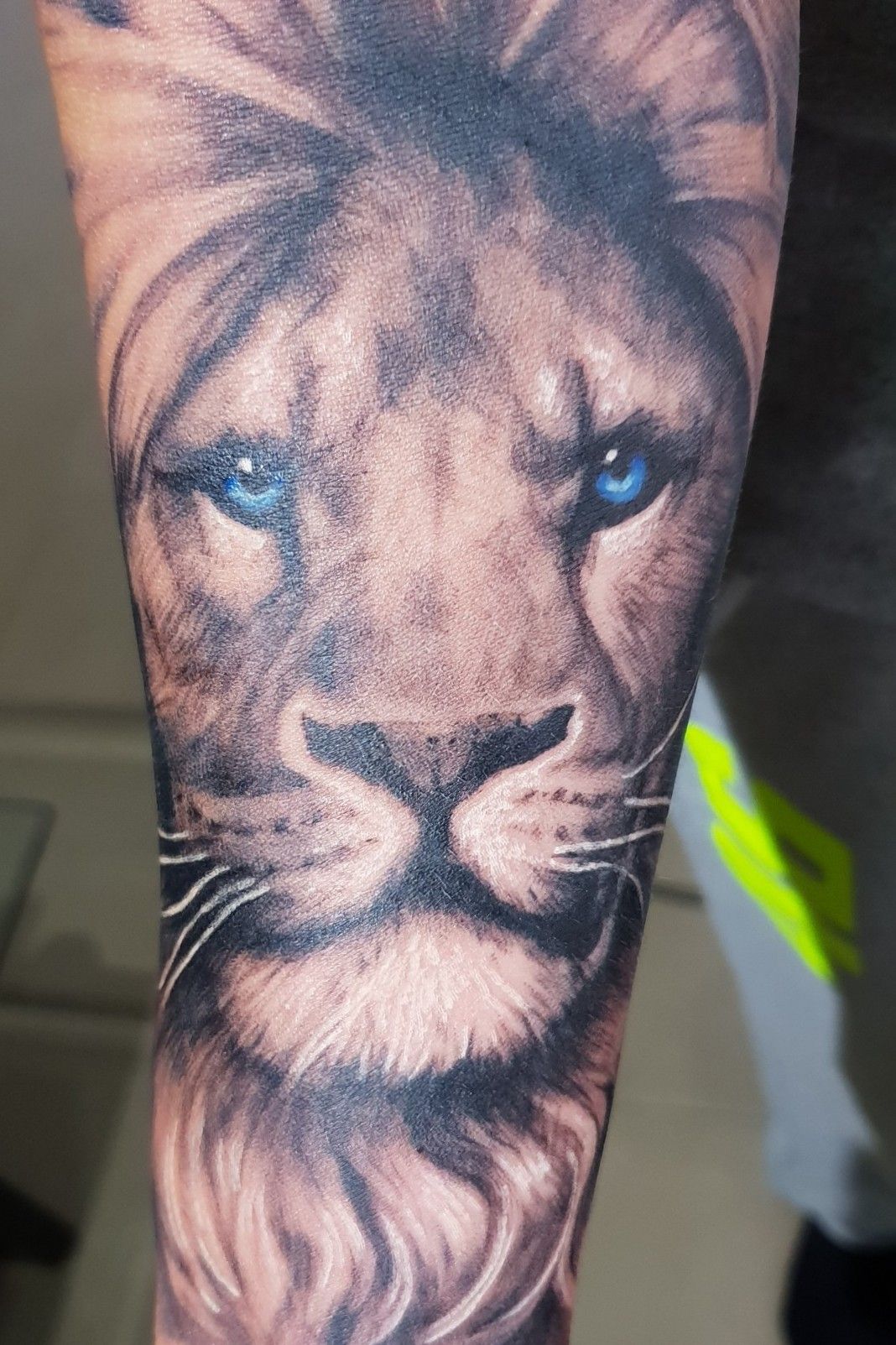 Tattoo uploaded by Nigel Janssens  lion liontattoo blueeyes realism   Tattoodo