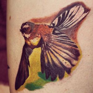 Fantail bird #kiwiana #birdtattoo #cheyennehawkpen #starbritecolors #cheyennetattooequipment #fantail 