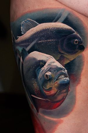 #piranhas, a fresh part of a #legsleeve #wroclawtattoo #Poland #alminztattoo