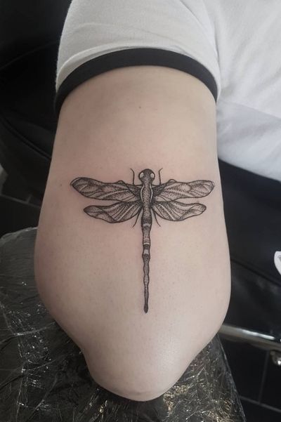 #blackwork #blackworktattoo #dotwork #dotworktattoo #dragonfly 