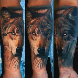 Wolf on tanned skin, one session #wolftattoo #wroclawtattoo #polandtattoos #alminztattoo