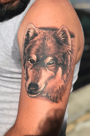 Wolf black and grey with white for my clients first tattoo