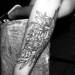 Chrysanthemum tattoo Line draft 