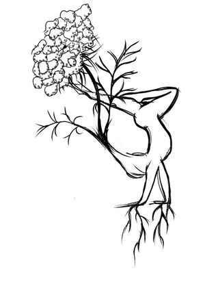 Handbalancer and Queen Anne's lace